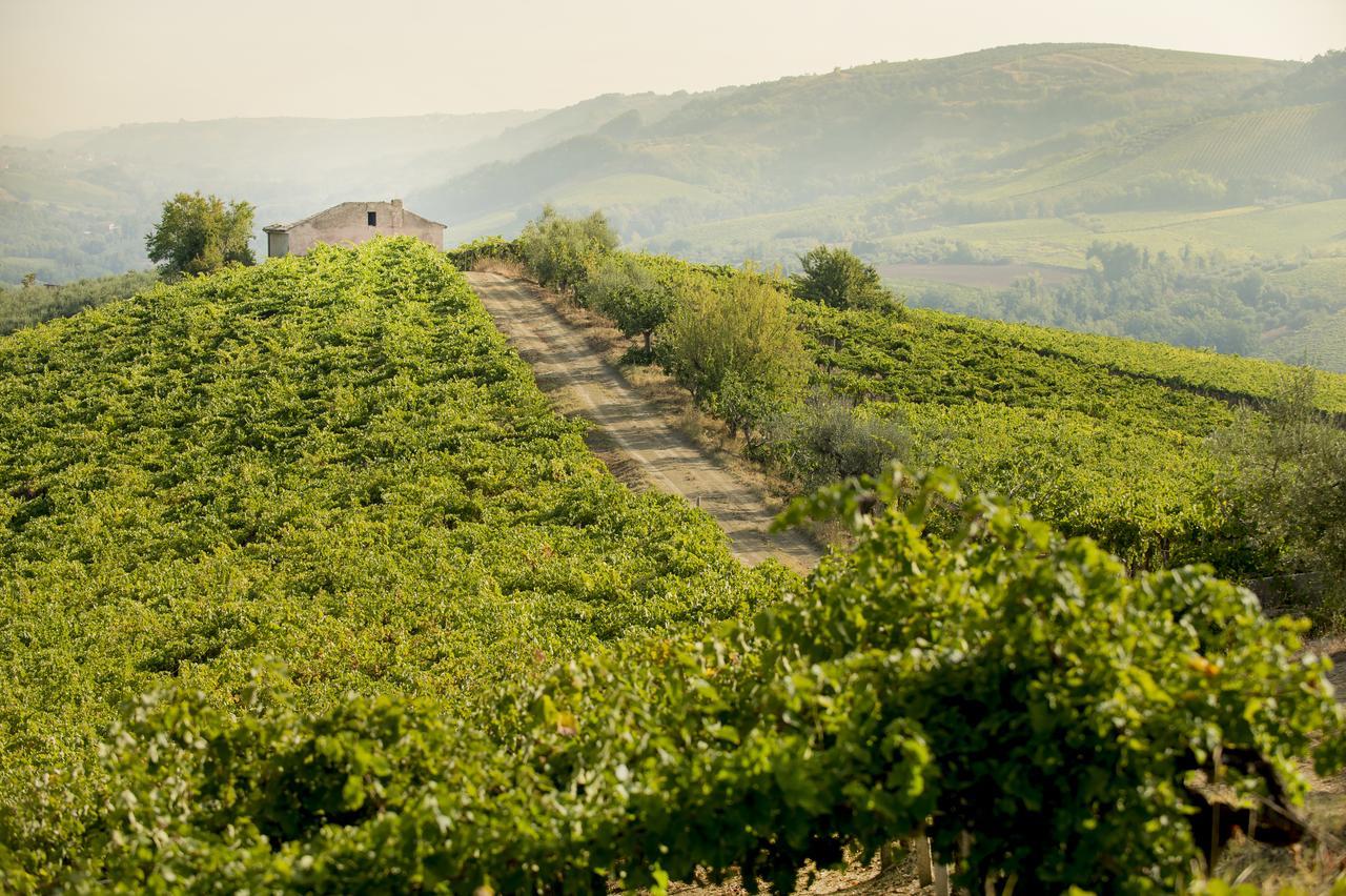 Baldovino B&B Villamagna  ภายนอก รูปภาพ